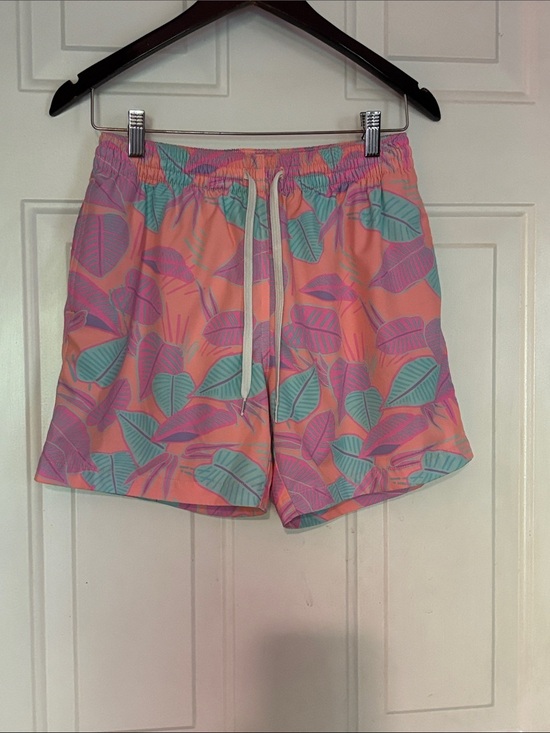 Other - Chubbies the Posh Palms Swim Trunks